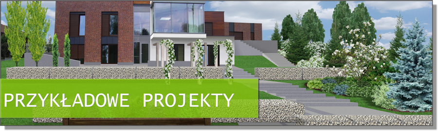 Przykładowe projekty